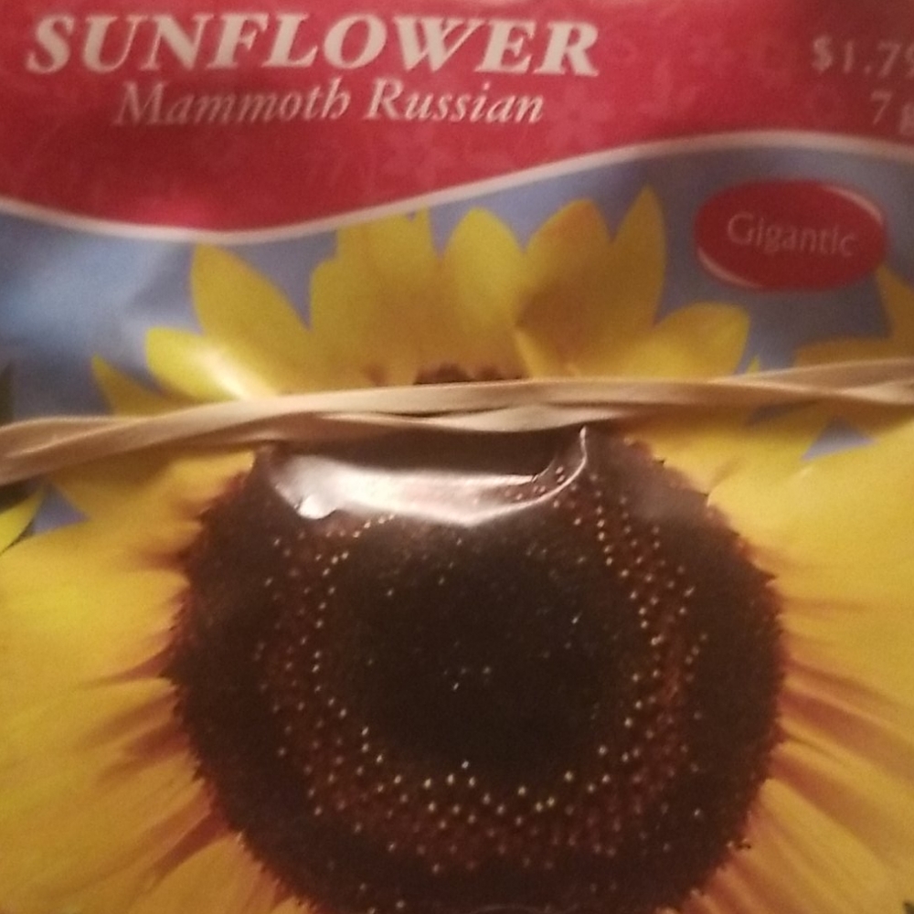 ๐ผ ๐๐ฅ๐๐ Flower pkg w/ purchase๐ฆ๐ - Picture 11 of 16